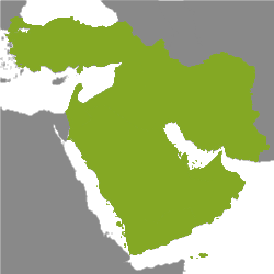Ejendom Mellemøsten