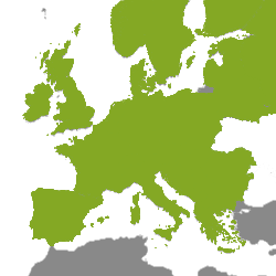Property Europe