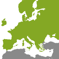 Immobilien Europa