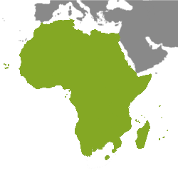 Ejendom Afrika